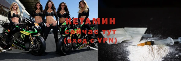индика Ельня