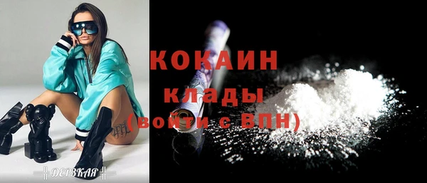 стафф Елизово
