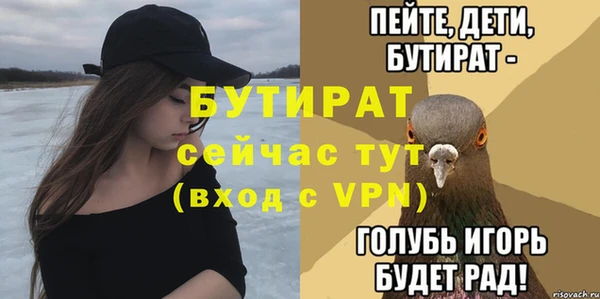 индика Ельня