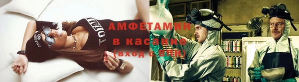 стафф Елизово