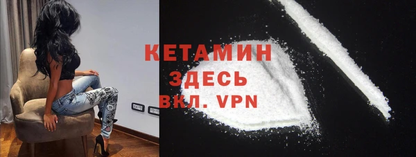 индика Ельня