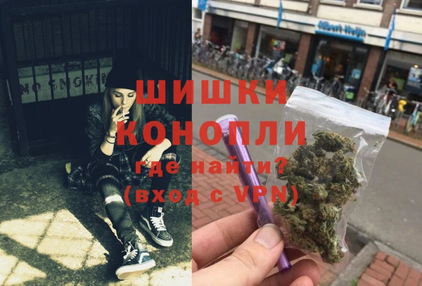 индика Ельня