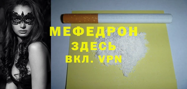 индика Ельня
