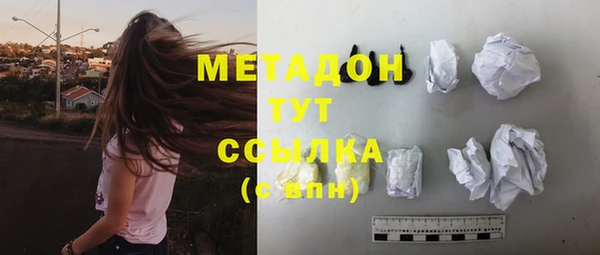 индика Ельня