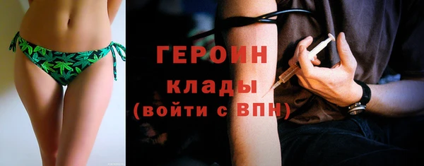 индика Ельня