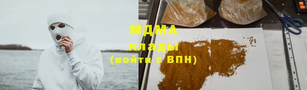 индика Ельня