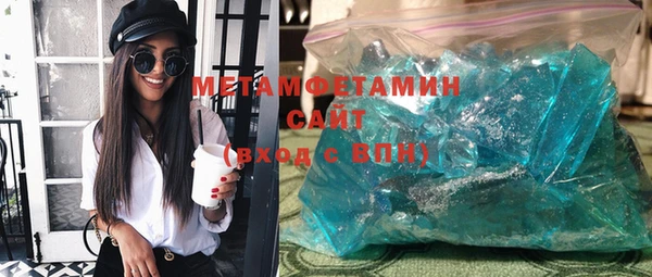 индика Ельня