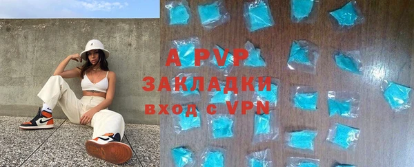 индика Ельня