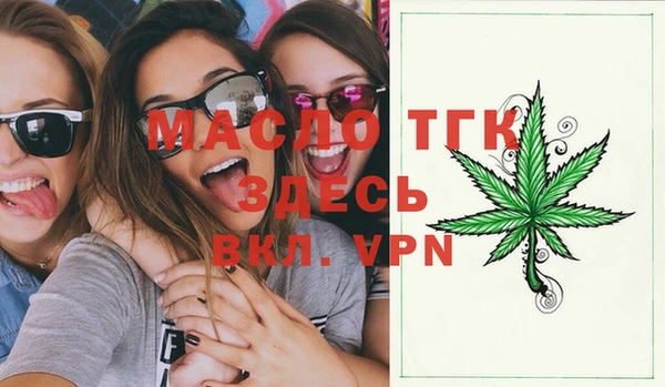 индика Ельня