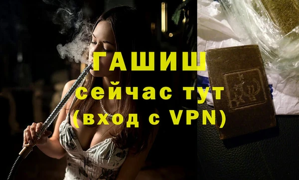 индика Ельня