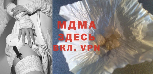 индика Ельня