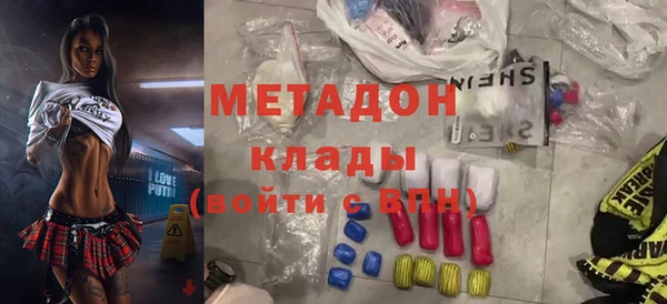 индика Ельня