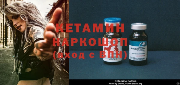 индика Ельня