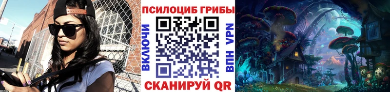 Купить закладки  Подпорожье  Галлюциногенные грибы ЛСД 