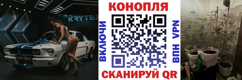 Купить закладки  Подпорожье  Каннабис Bruce Banner 